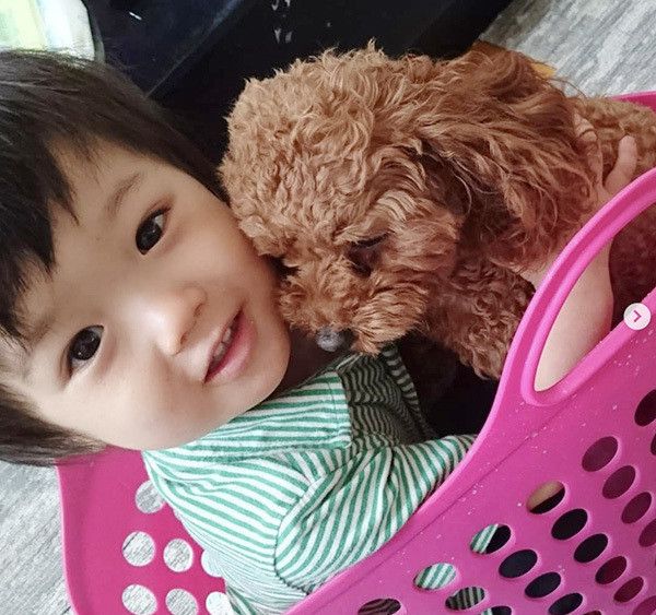 トイ・プードルと子ども