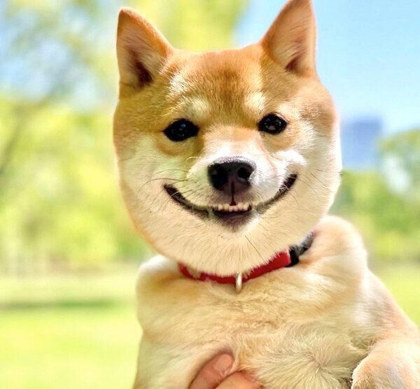 笑顔のおまめちゃん