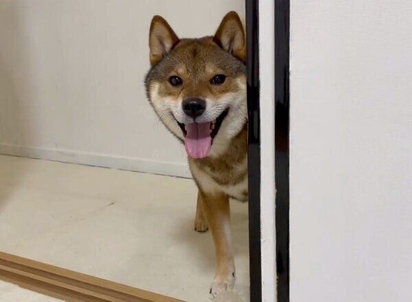 笑顔のケンくん