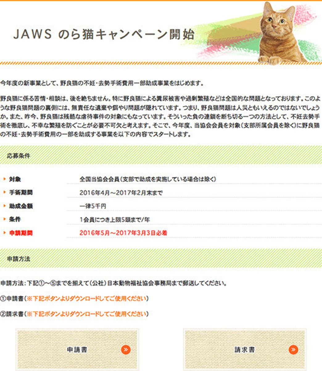日本動物福祉協会って どんな団体 穴澤賢の犬のはなし いぬのきもちweb Magazine 日本動物福祉協会って どんな団体 穴澤賢の犬のはなし いぬのきもちweb Magazine