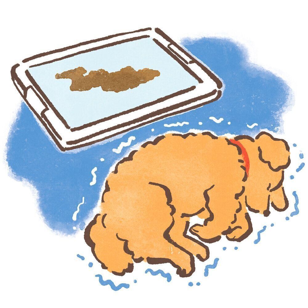 イラスト／太田麻衣子