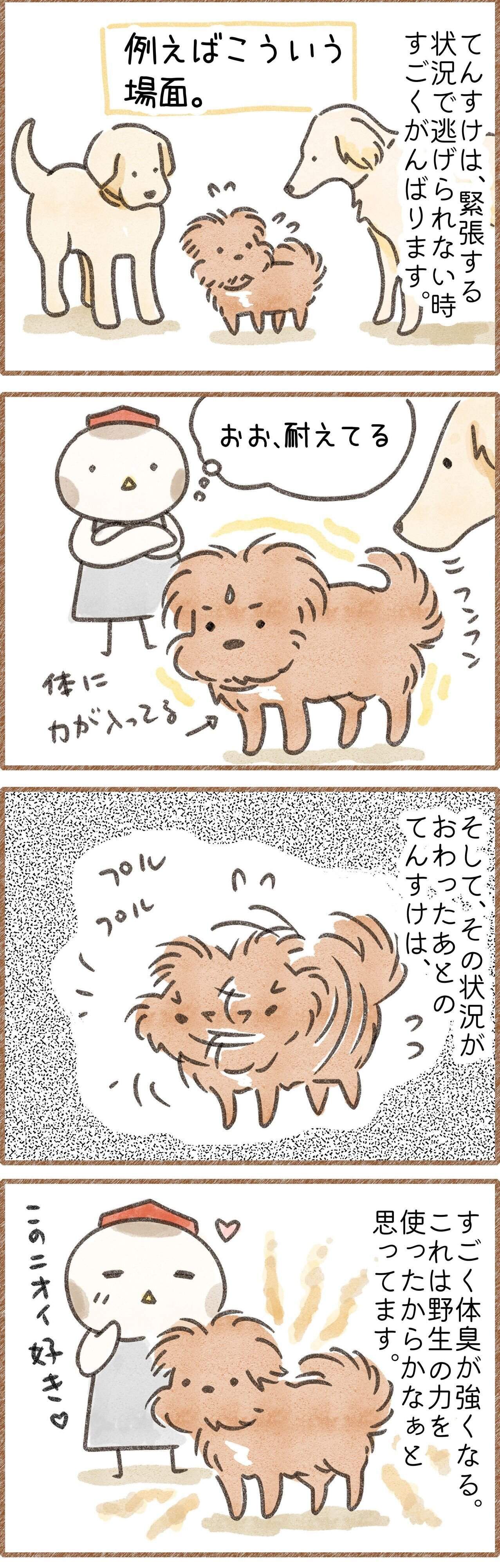 犬の体臭についての漫画