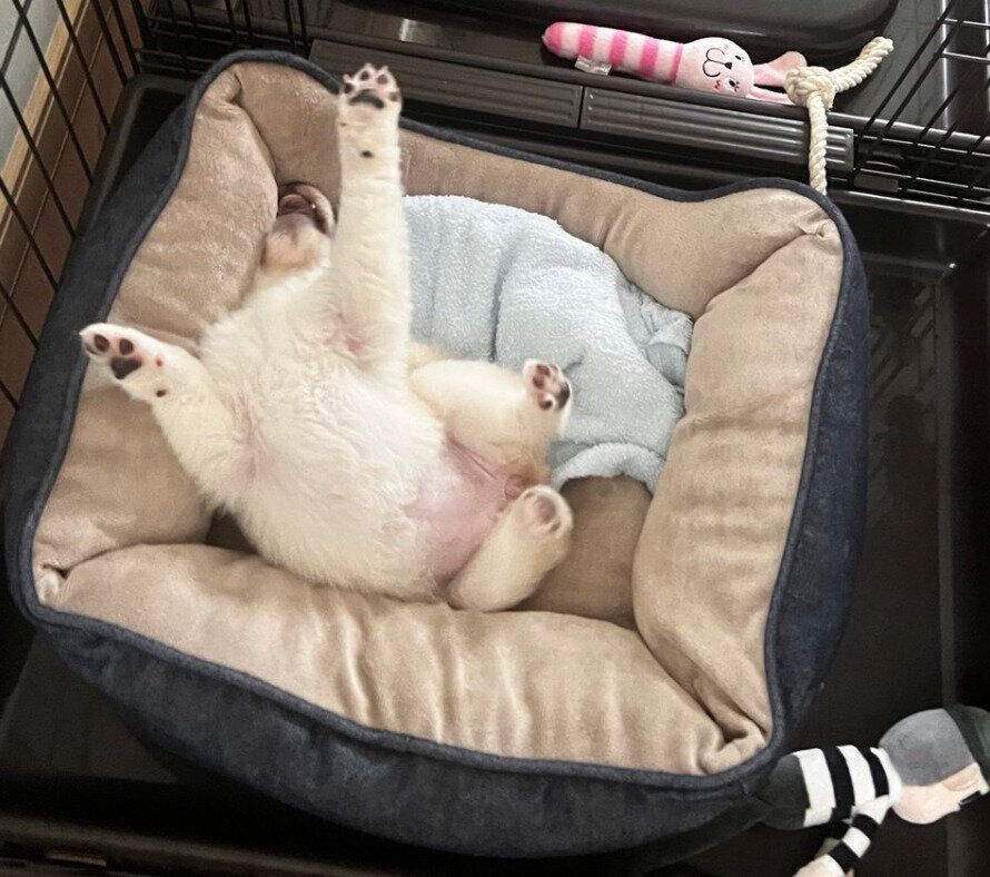 生後2カ月半のつきひちゃん