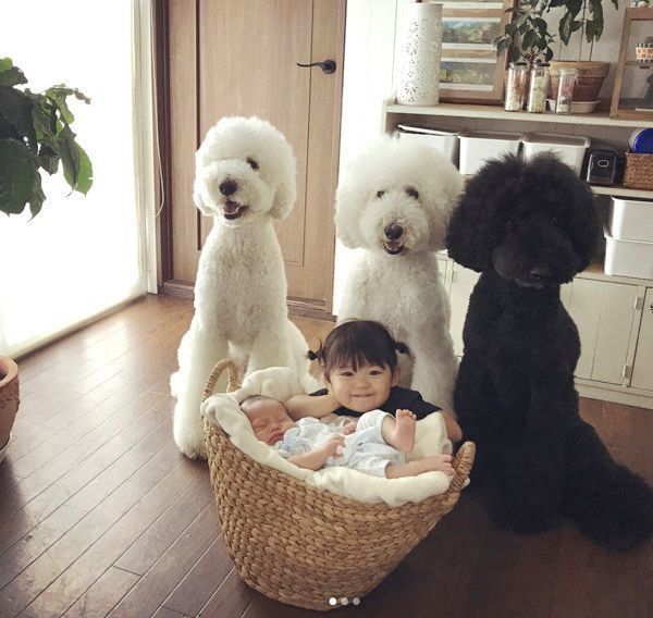 大集合するくぅさん・りっくん・がっくん・まめちゃん・むぎくん