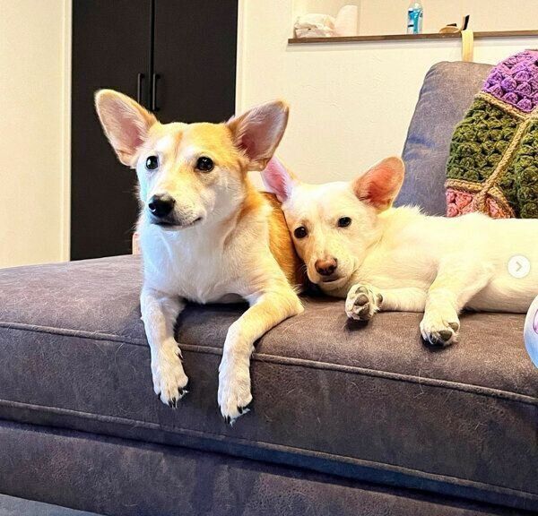 くつろぐ梅ちゃんと稀ちゃん