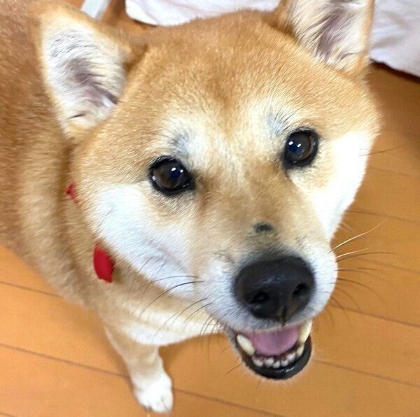 笑顔のミクちゃん