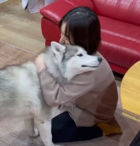 相思相愛な文太くんとお姉ちゃん