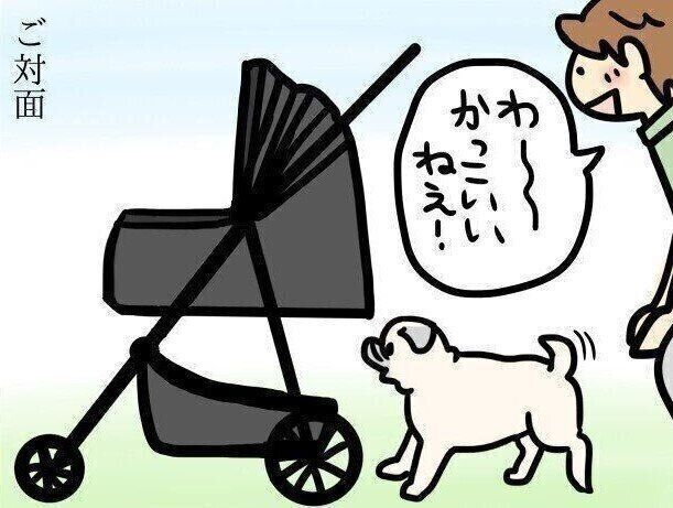 【連載】パグ犬・めー vol.113