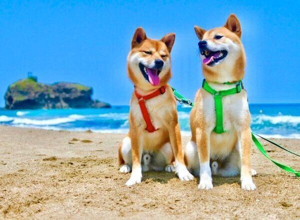 笑顔のわさびくんともずくくん
