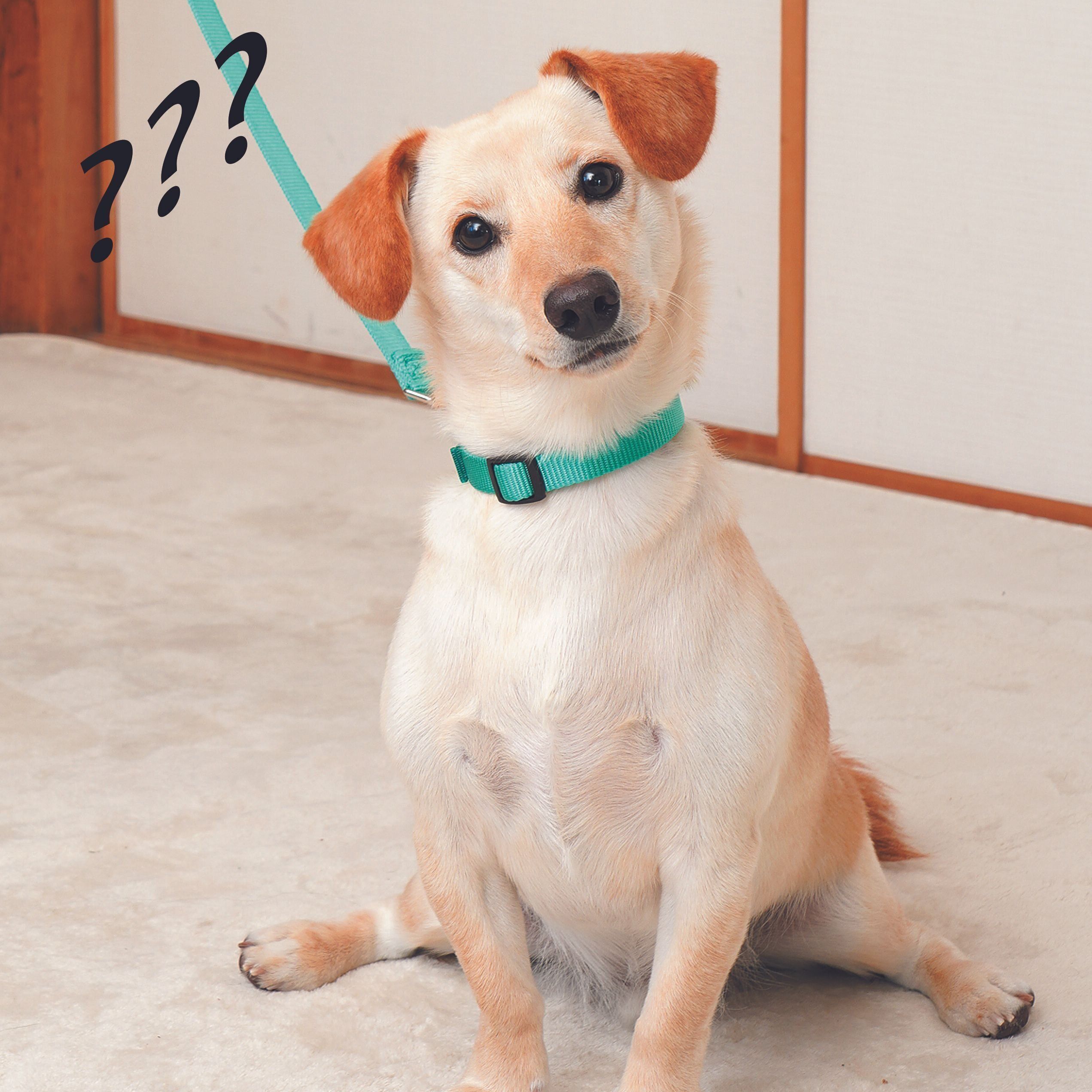 撮影／殿村忠博