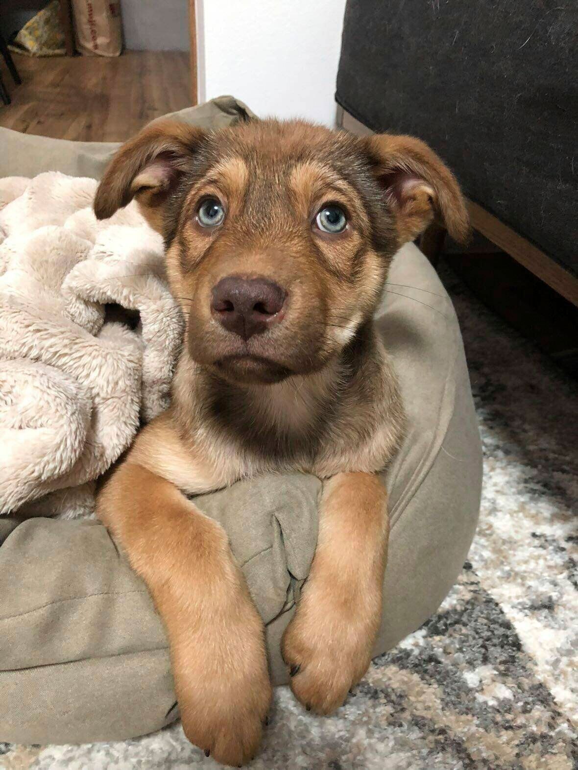 キレイな瞳が印象的な1枚