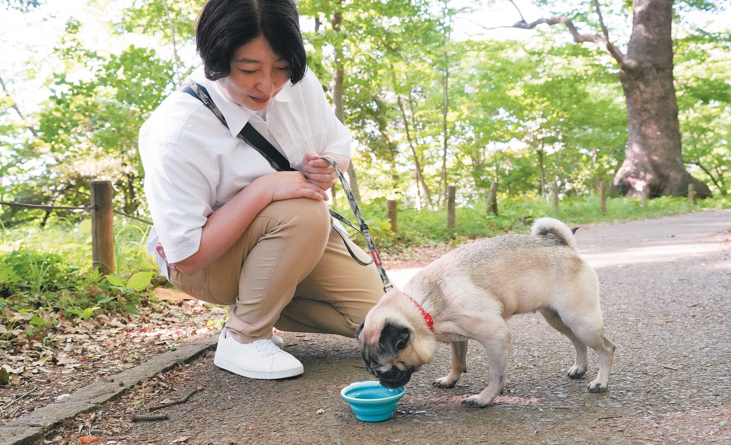 給水休憩をとる犬