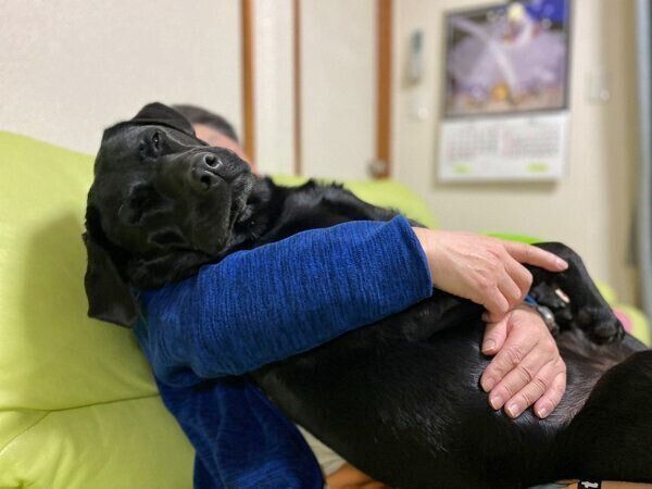 飼い主さんに抱っこされるエマちゃん