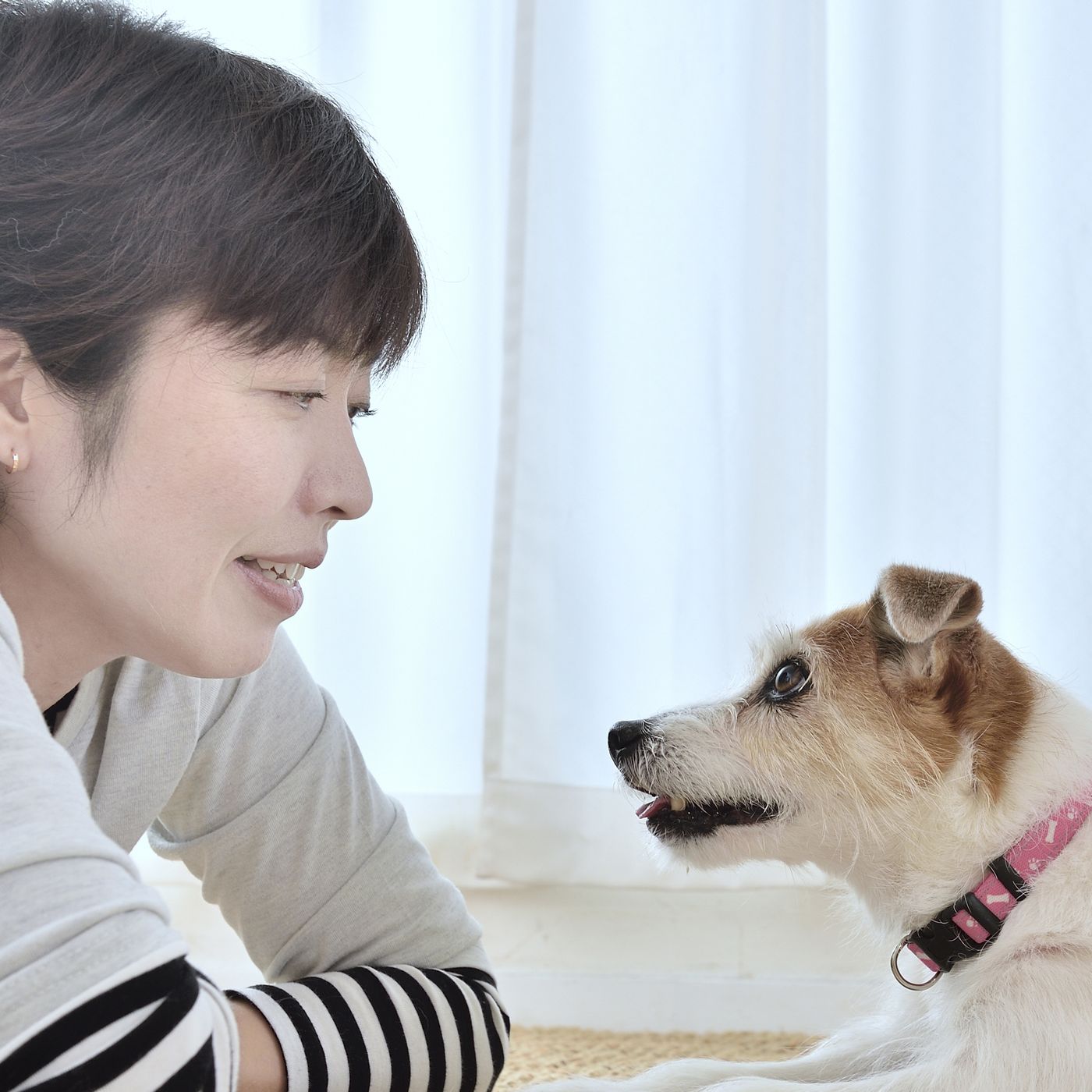 犬も人も幸せになる 幸せホルモン オキシトシン を分泌させる あの行為 いぬのきもちweb Magazine 犬も人も幸せになる 幸せホルモン オキシトシン を分泌させる あの行為 いぬのきもちweb Magazine