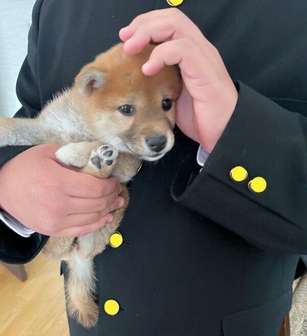 息子さんに抱っこしてもらう、はなこちゃん