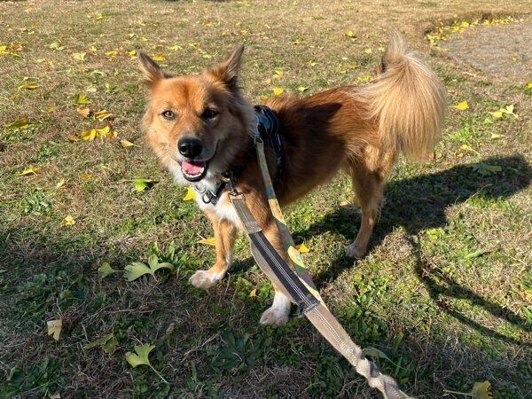 笑顔が可愛いトリスタンくん