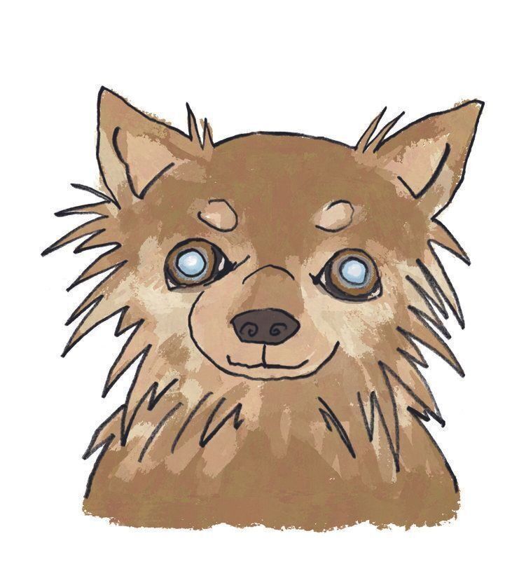 イラスト／五嶋直美