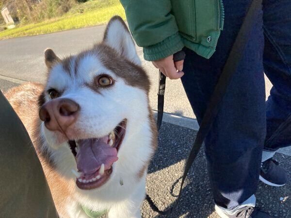 楽しそうな北斎くん