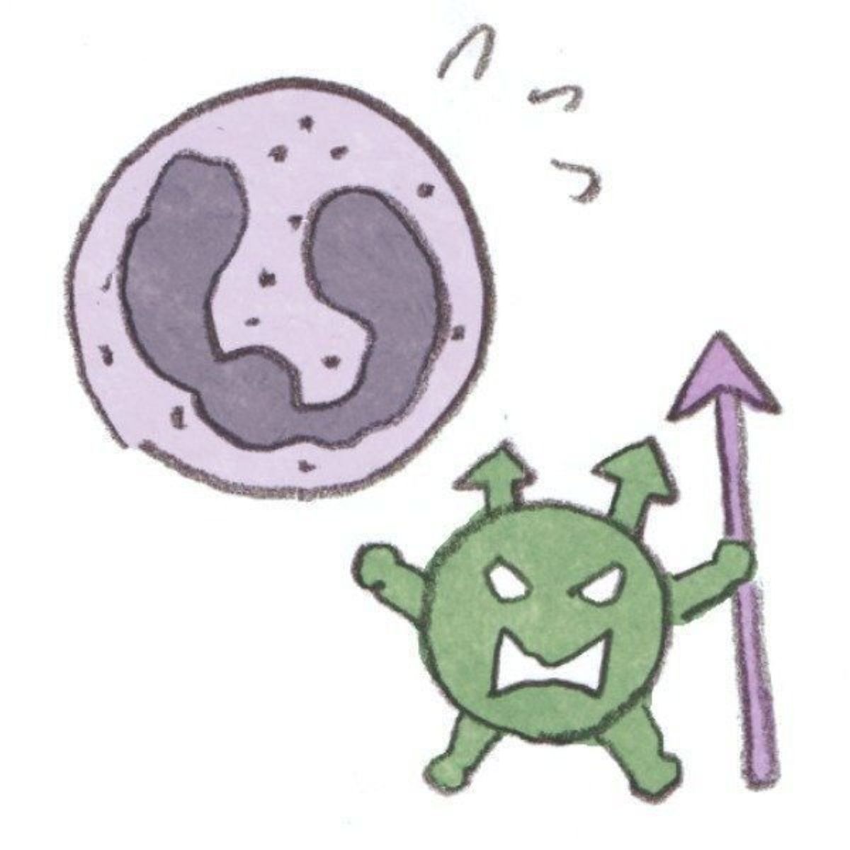 犬と人の血液の違いって 犬の血液検査でわかること いぬのきもちweb Magazine 犬と人の血液の違いって 犬の血液検査でわかること いぬのきもちweb Magazine