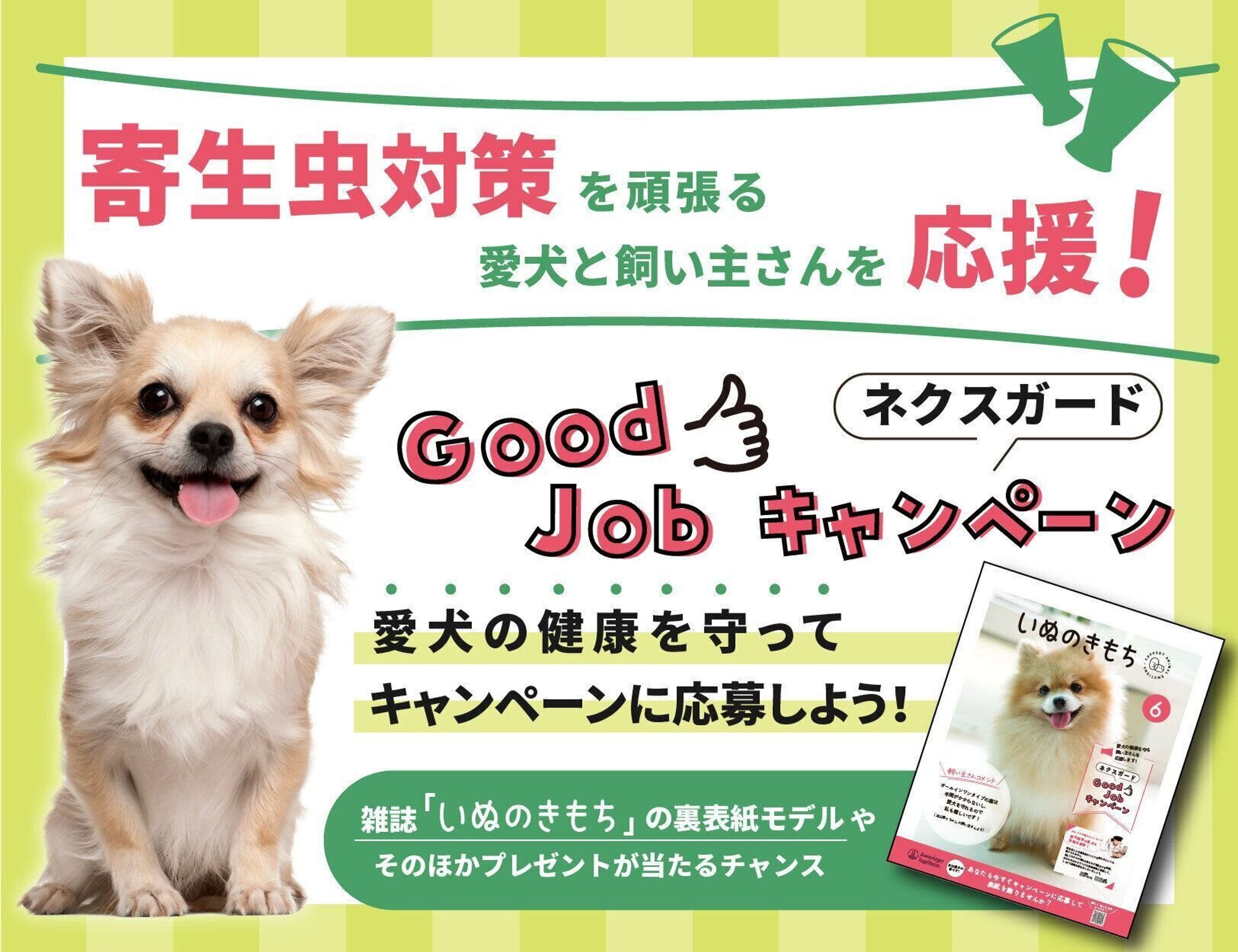 Pr 寄生虫対策を頑張る飼い主さんを応援します ネクスガード Good Jobキャンペーン スタート いぬのきもちweb Magazine Pr 寄生虫対策を頑張る飼い主さんを応援します ネクスガード Good Jobキャンペーン スタート いぬのきもちweb Magazine