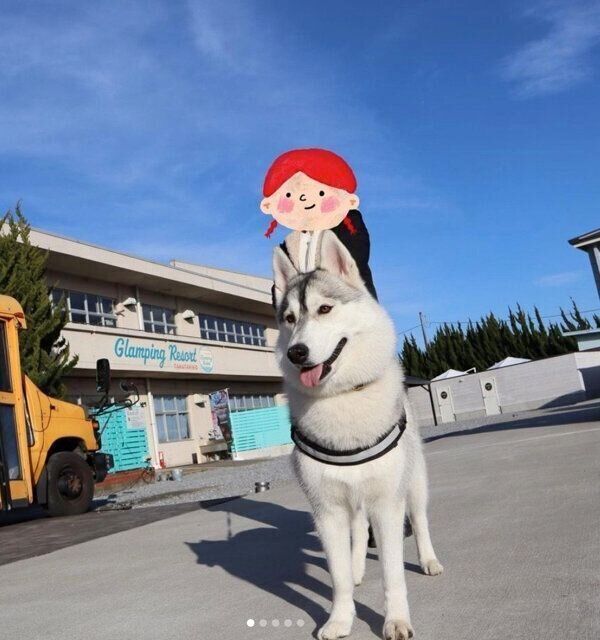 お出かけを楽しむぽぽちゃん