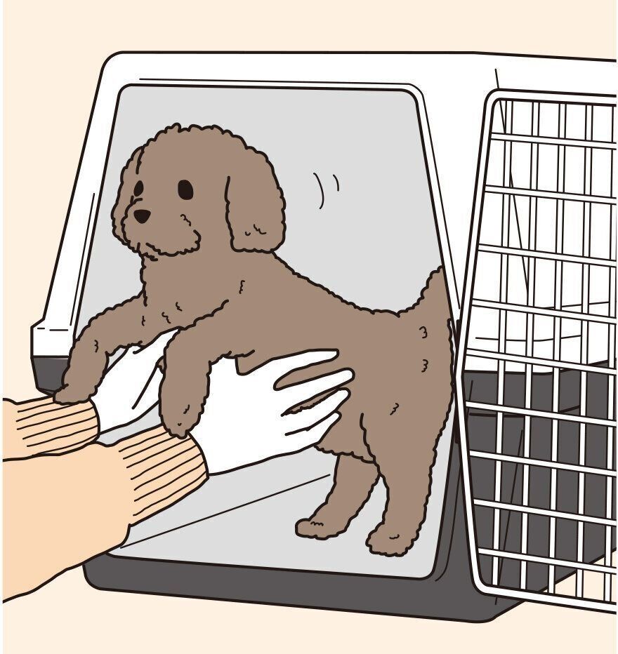 イラスト／二階堂ちはる