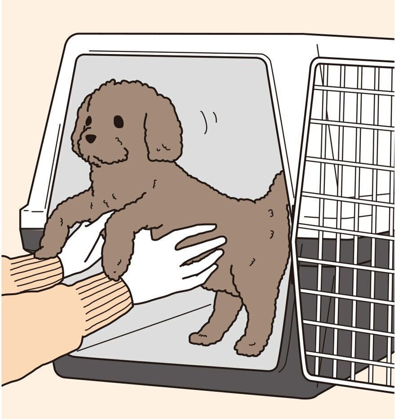 見るだけですぐわかる犬のしつけ トイレやブラッシングがスムーズに いぬのきもちweb Magazine 見るだけですぐわかる犬のしつけ トイレやブラッシングがスムーズに いぬのきもちweb Magazine