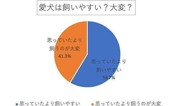 愛犬は飼いやすい? 大変?