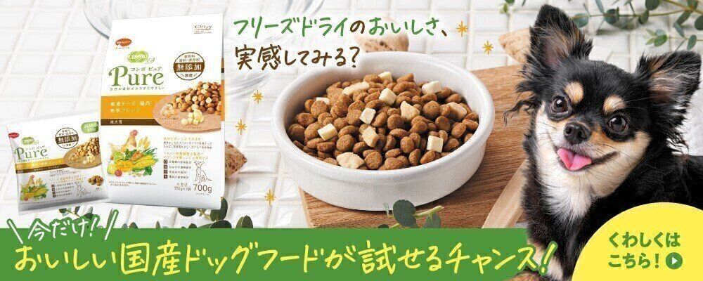 そら様専用】このこのごはん 犬用ドライフード※割引あり！説明文