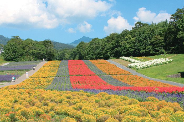 たんばらラベンダーパーク　群馬