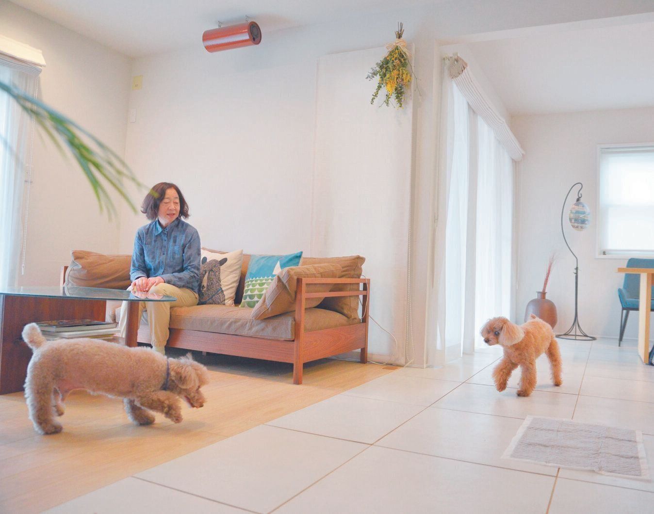 撮影／犬丸美絵