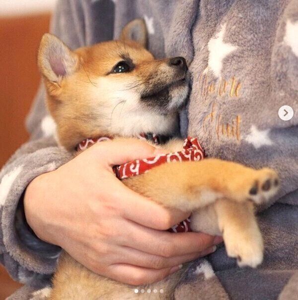 抱っこされるあくびちゃん