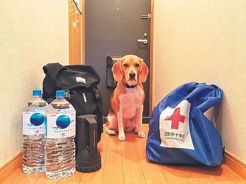 「避難に必要なものは、玄関などわかりやすい動線上に置くことでスムーズに。備蓄品は少し多めを心がけています」