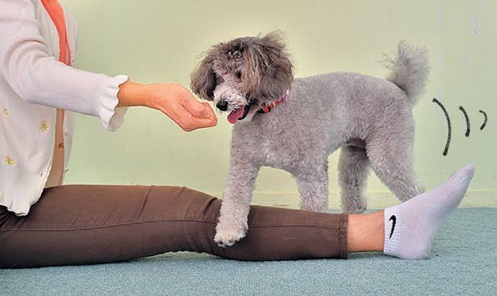 ぴょんぴょんジャンプのやり方