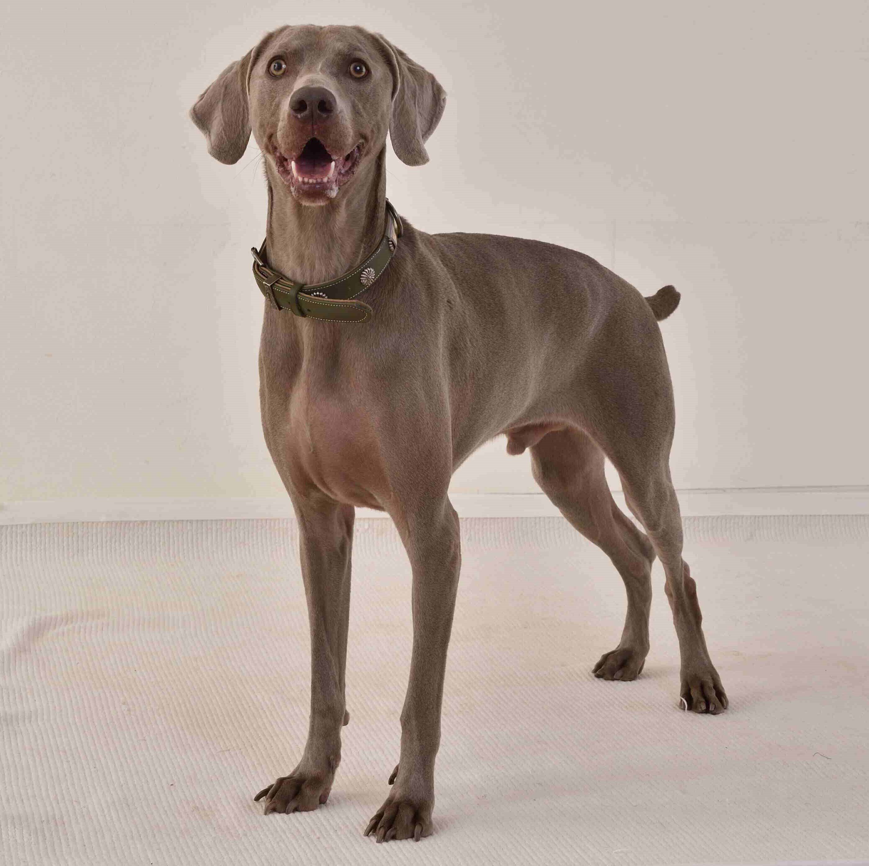 （撮影／佐藤正之）