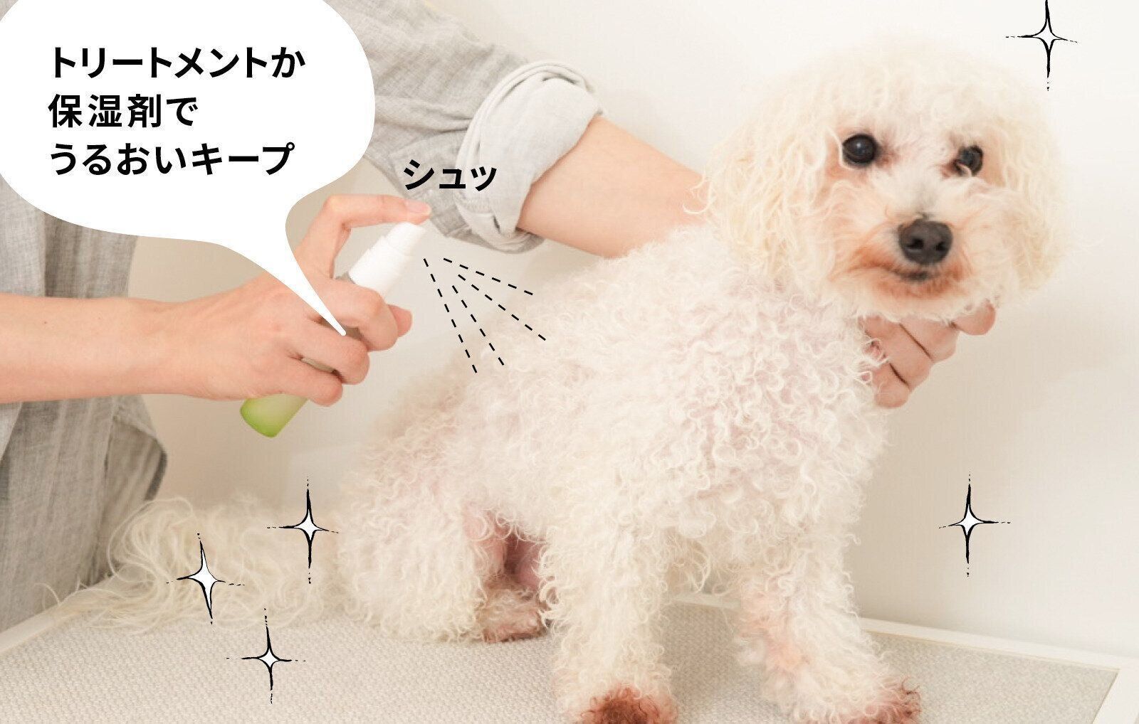 リファ リファファインバブル シャワーヘッド おうちシャンプー 愛犬シャンプー ビション・フリーゼ