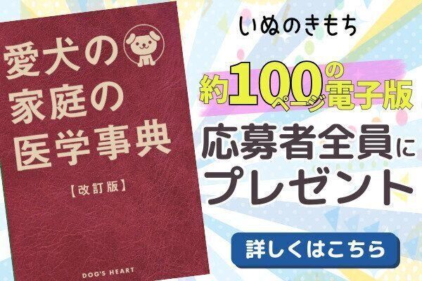 応募者全員プレゼント