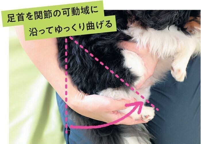 足首を曲げ伸ばしする大木はるくん