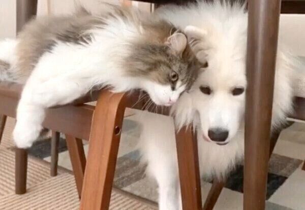 仲良しな小晴ちゃんと朝陽くん