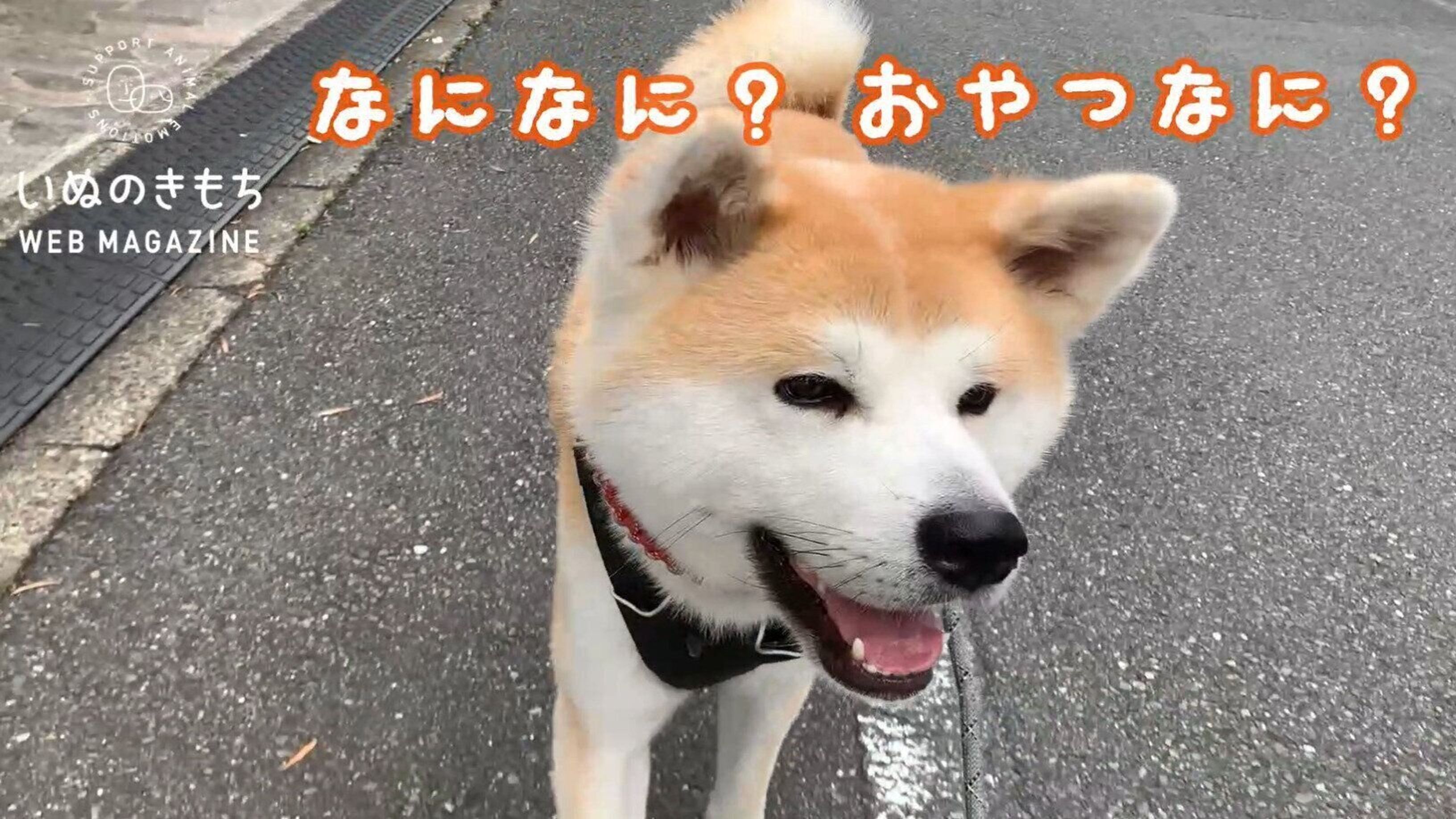 Pmplsmssmlol0m Pmplsmssmlol0m