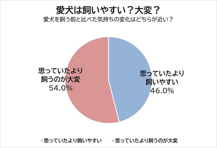 愛犬は飼いやすい?大変?