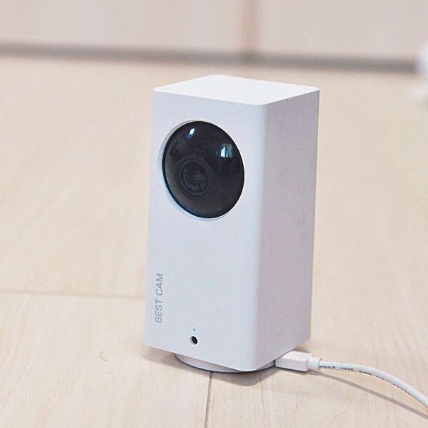 ケージの前に留守番カメラを設置