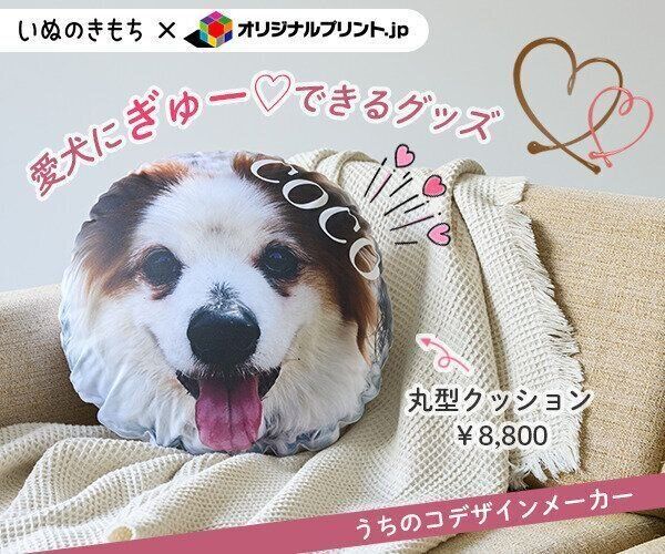 うちのコデザインメーカーを見る