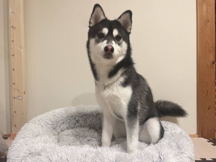 飼い主さんは大切なおとびくんのためにも「健康でありたい」と思っているのだとか