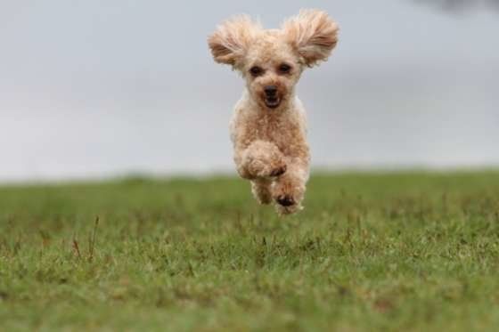 元気いっぱいのりゅうくん