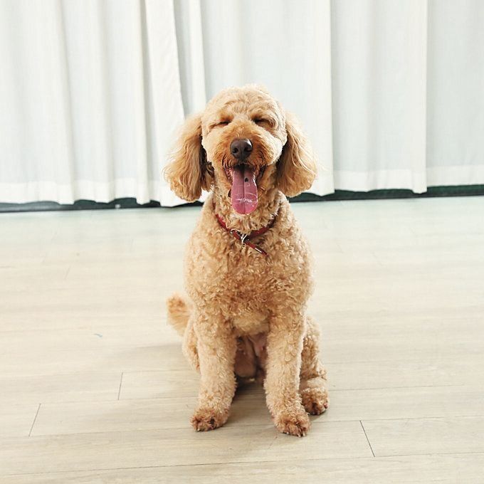 撮影／尾﨑たまき