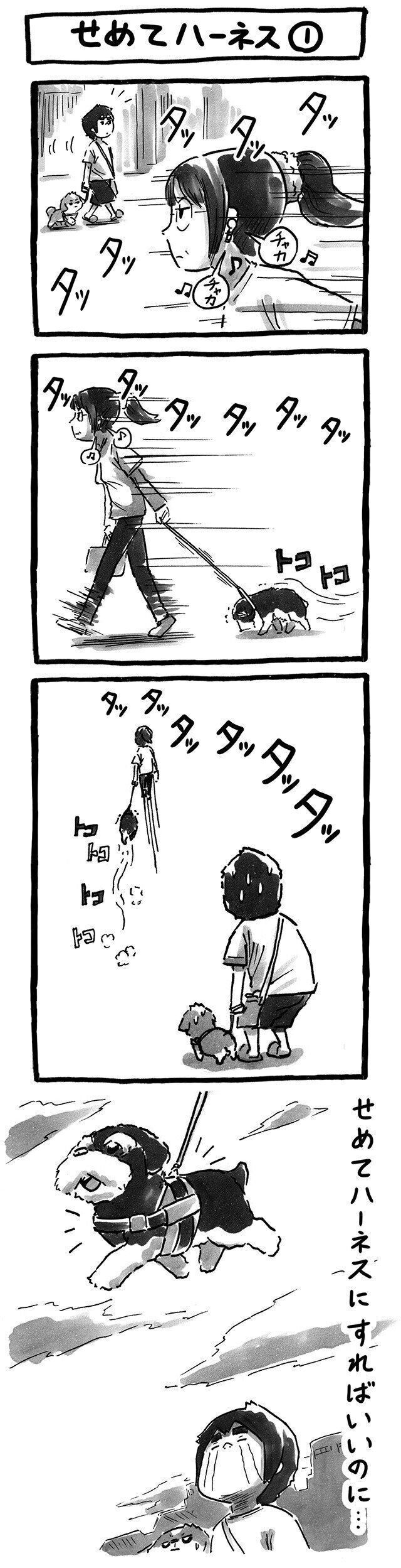 シーズー犬マンガてんぽshihtzu