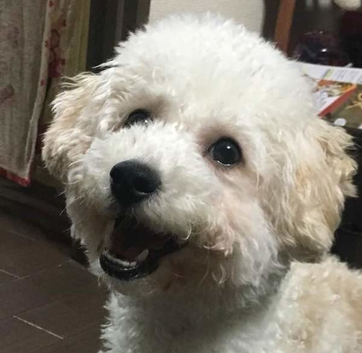 6awqqfrsmikgnm 6awqqfrsmikgnm