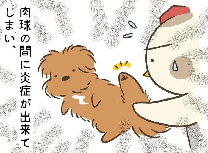 連載「こぐま犬てんすけ」vol.116
