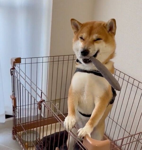 ニコニコ笑顔を見せる雷吾くん